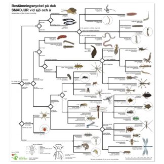 Bestämningsnyckel sjö o å, plast FÄRG