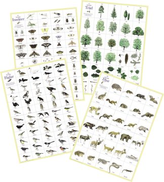 Affischer 4st: Svenska djur, Insekter, Fåglar o Träd