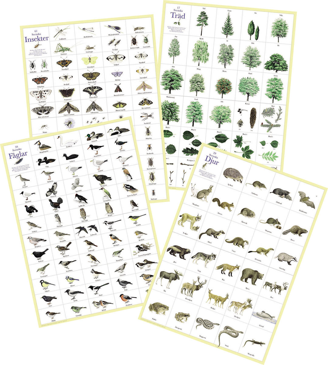 Affischer 4st: Svenska djur, Insekter, Fåglar o Träd
