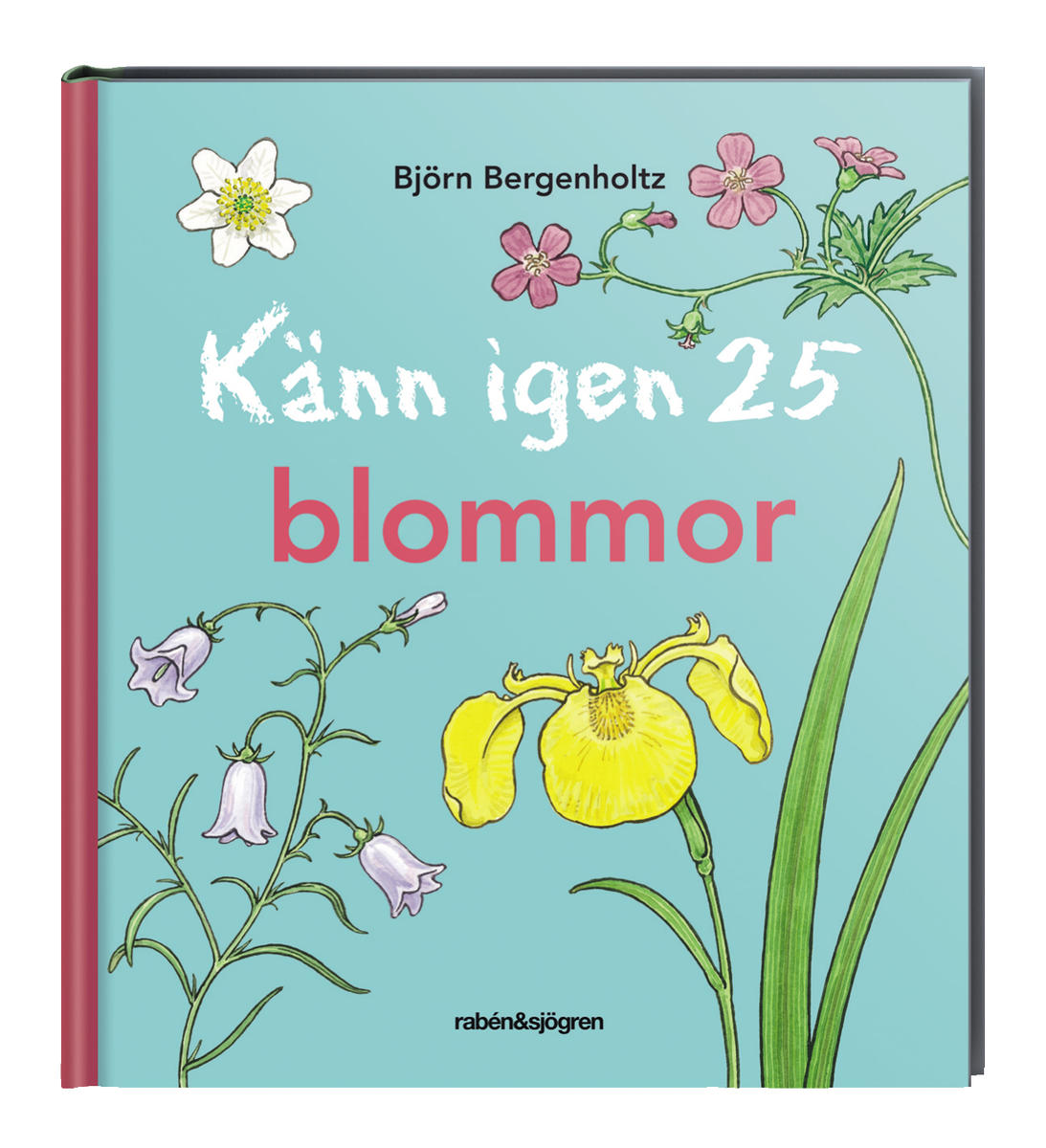 Känn igen 25 blommor - Bok
