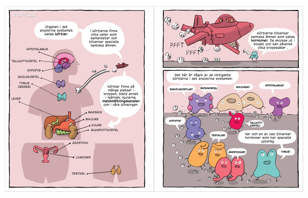 Hormoner, bok - Bild 2