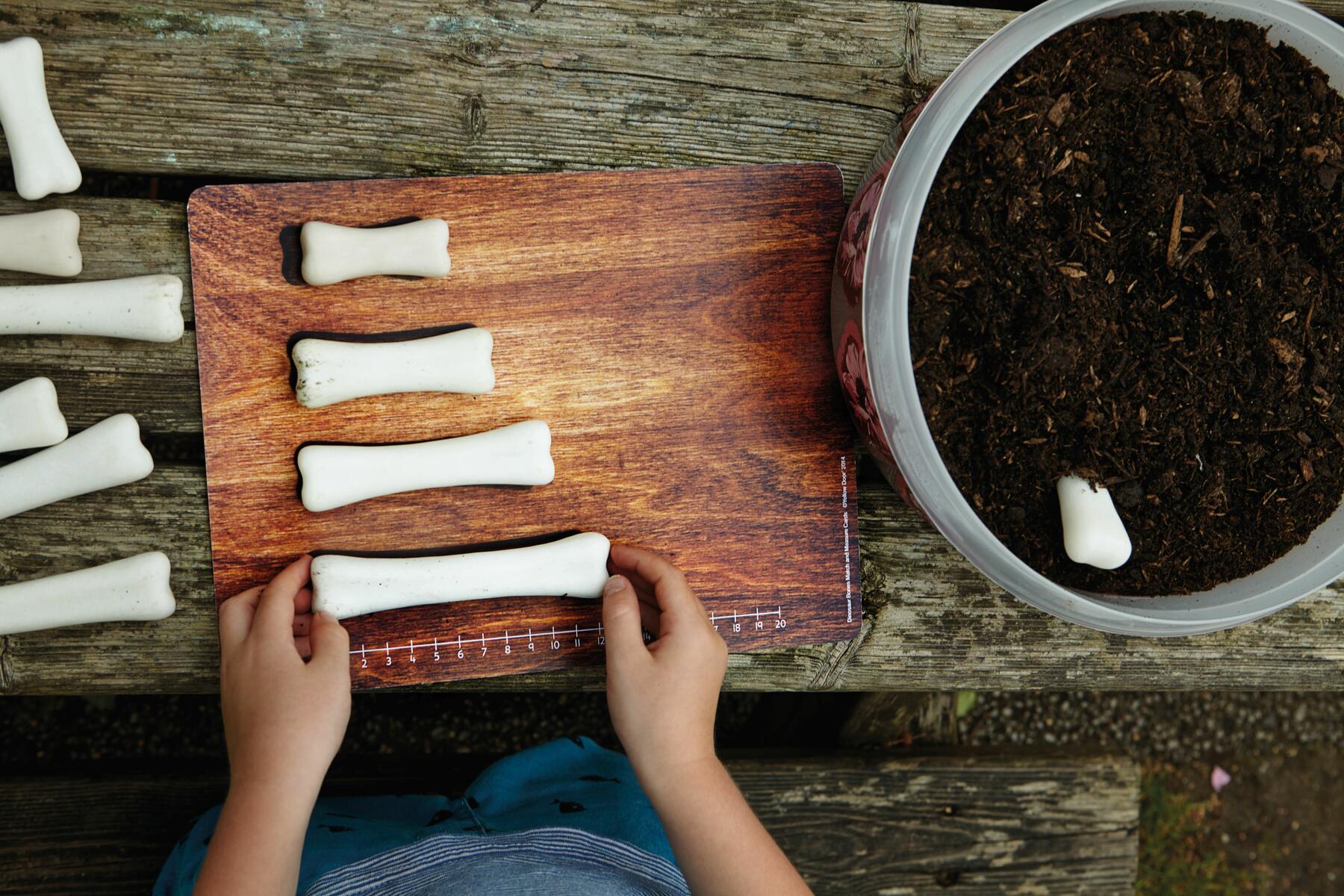 Dinosaurieben - Bild 5