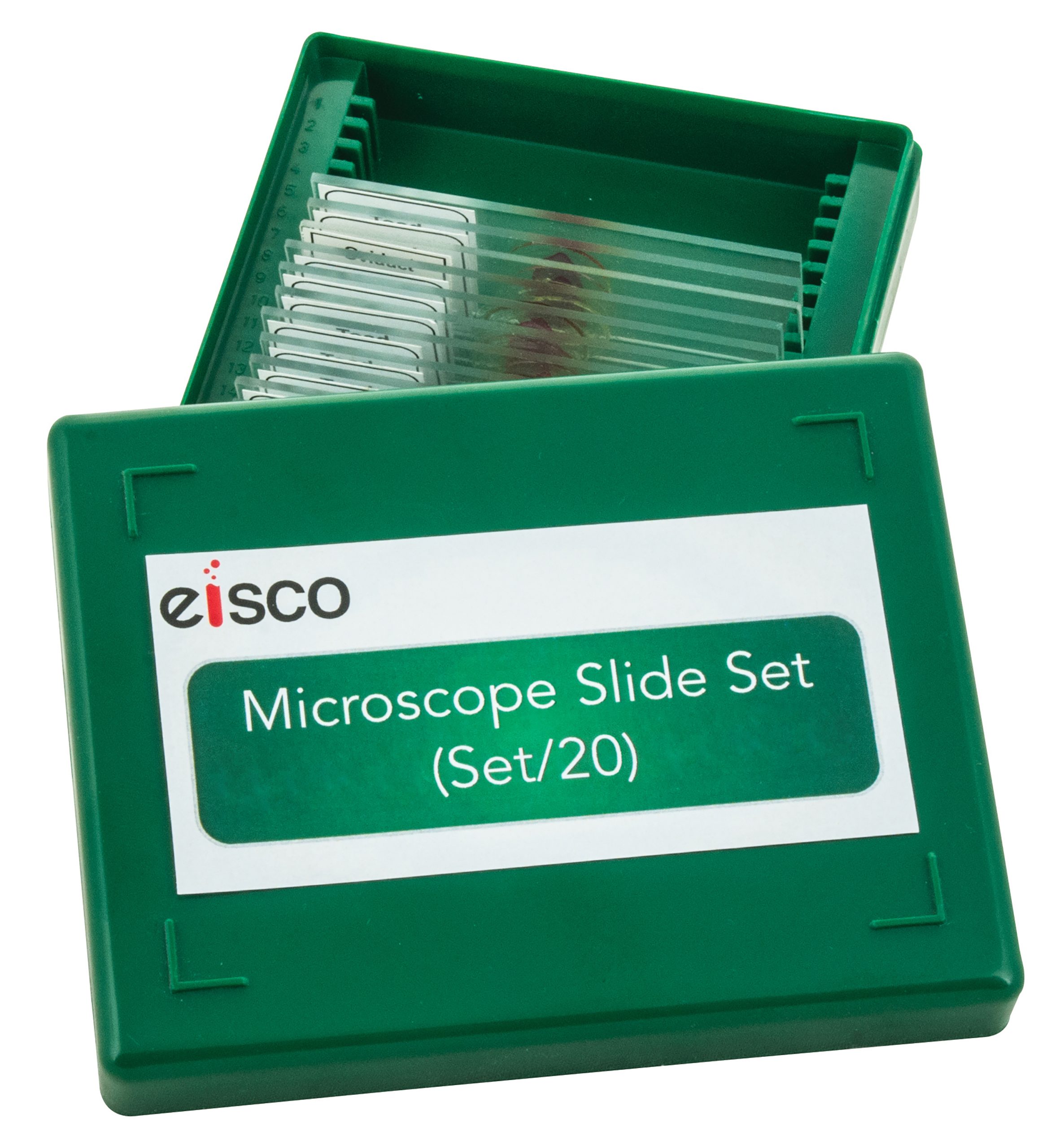 Mikroskoppreparat, Växter