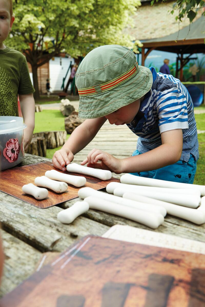 Dinosaurieben - Bild 4