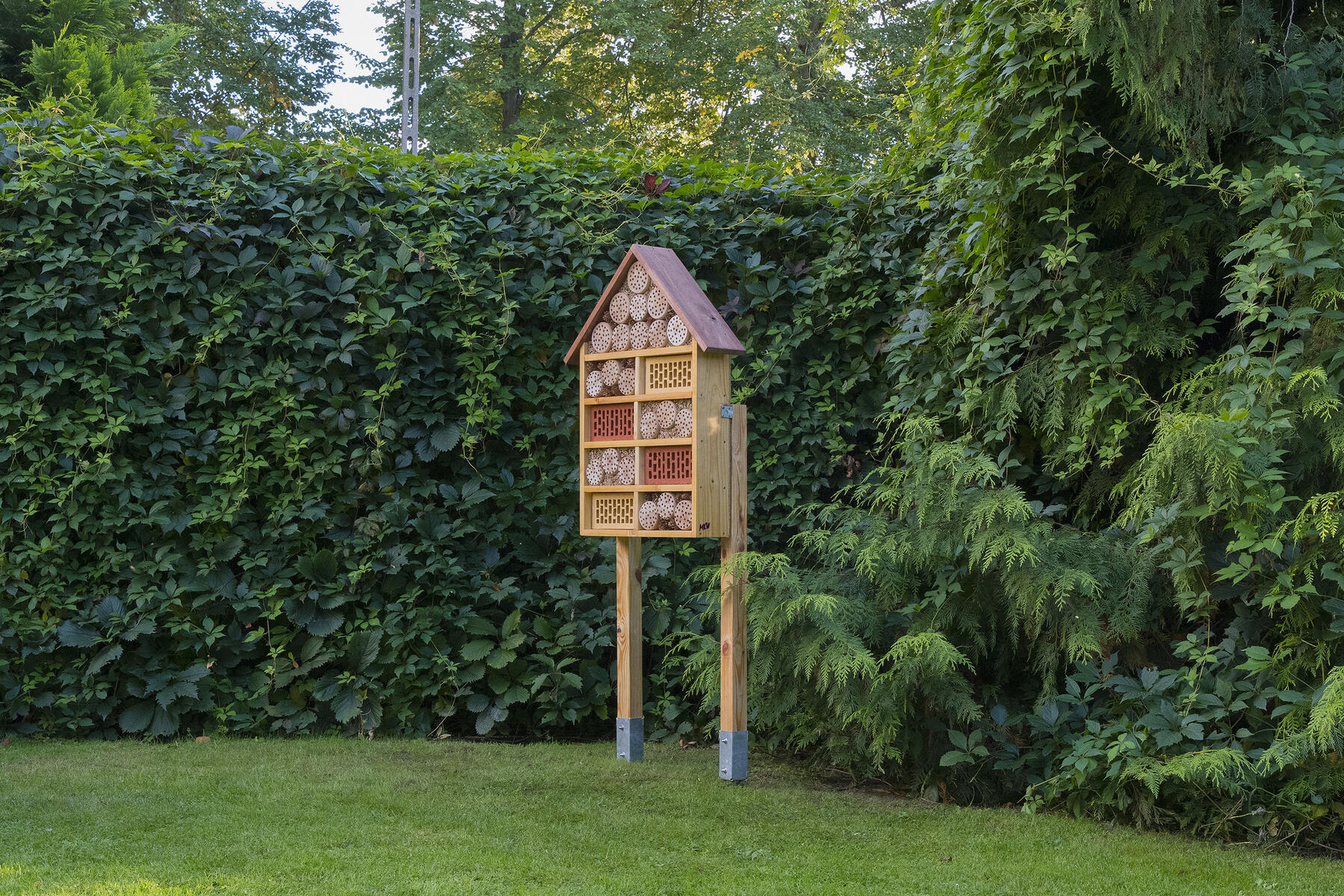 Insektshotell stort - Bild 4