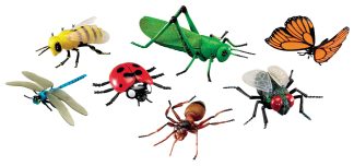 Stora insekter 7st/fp
