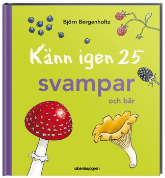 Känn igen 25 svampar och bär - Bok