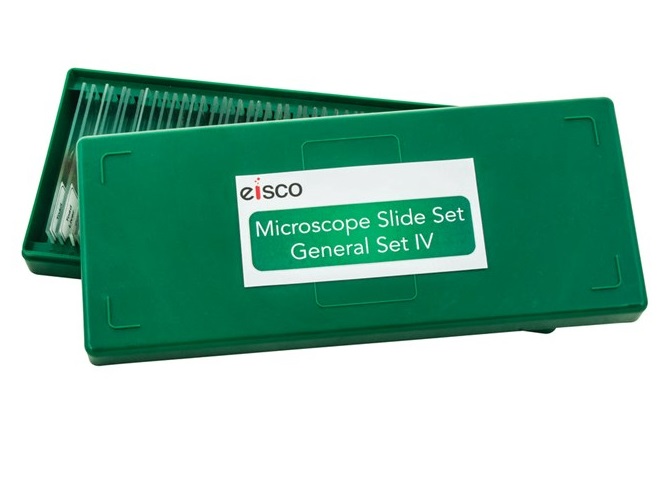 Mikroskoppreparat, Startset