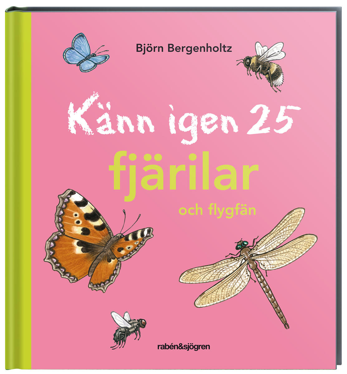 Känn igen 25 fjärilar och flygfän - Bok