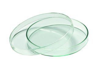 Petriskål 11 cm, Borosilikatglas