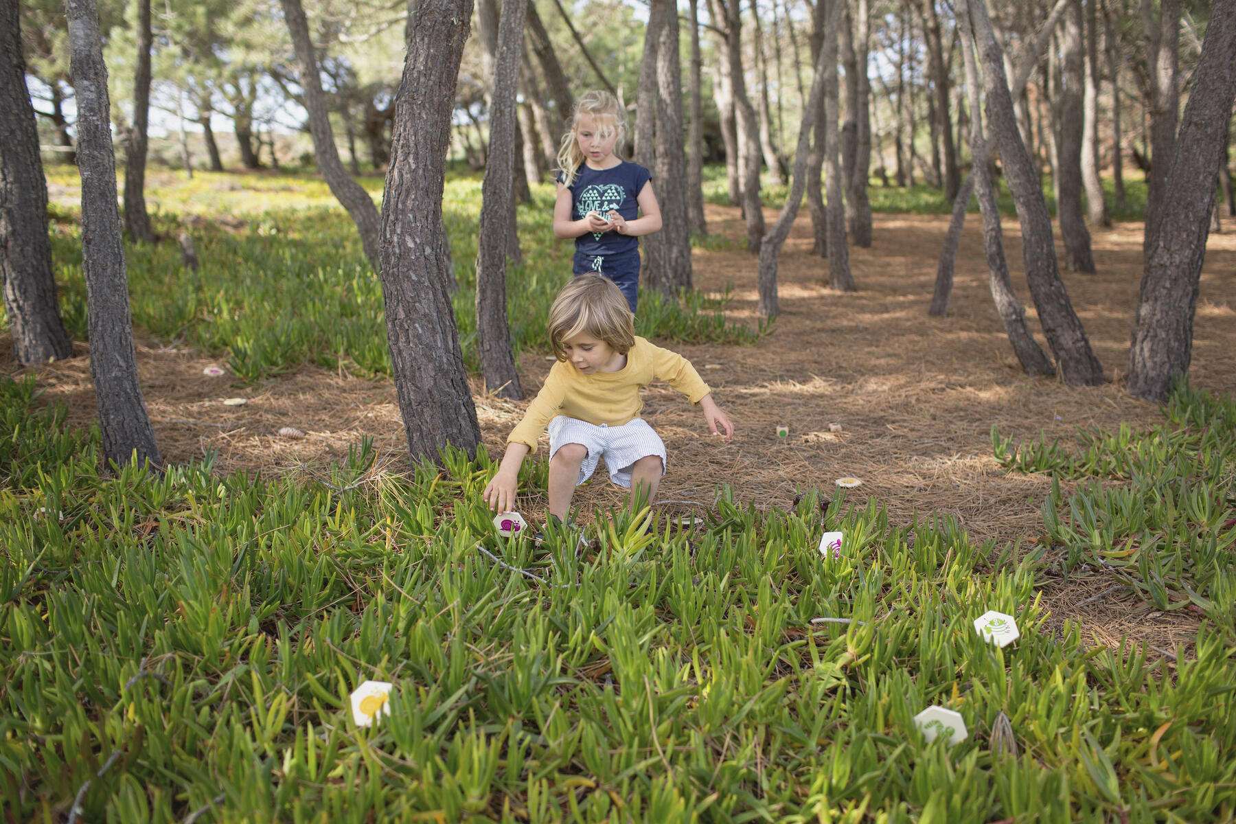 Sök och finn insekter - spel - Bild 2