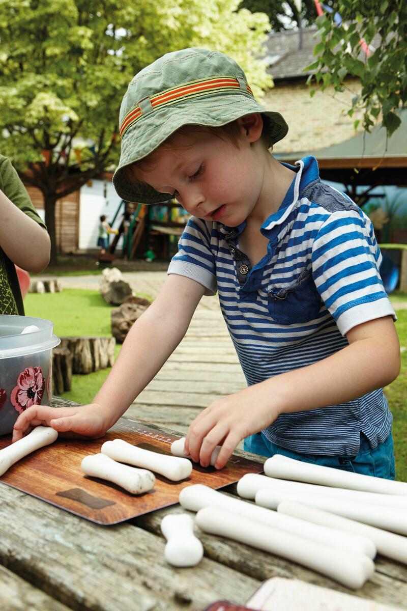 Dinosaurieben - Bild 3