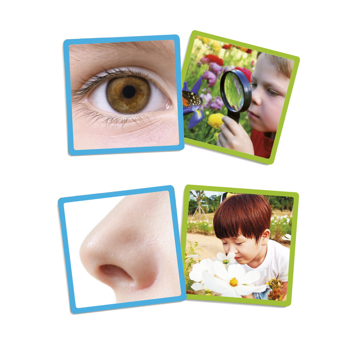 Våra fem sinnen - Spel - Bild 3