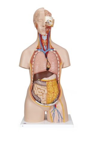 Torso maxi öppen rygg
