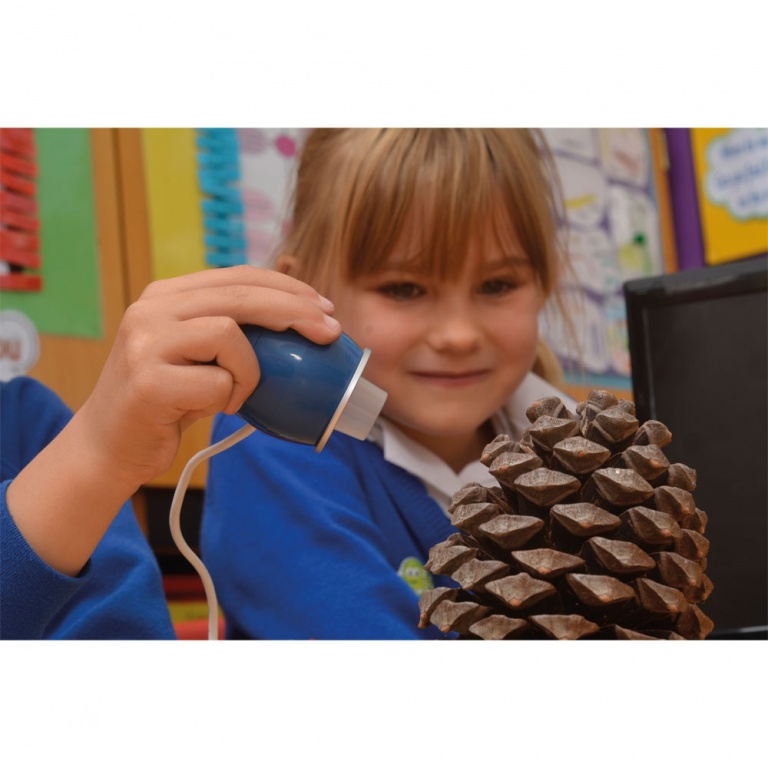 Webb-ägget klass färg - Bild 2