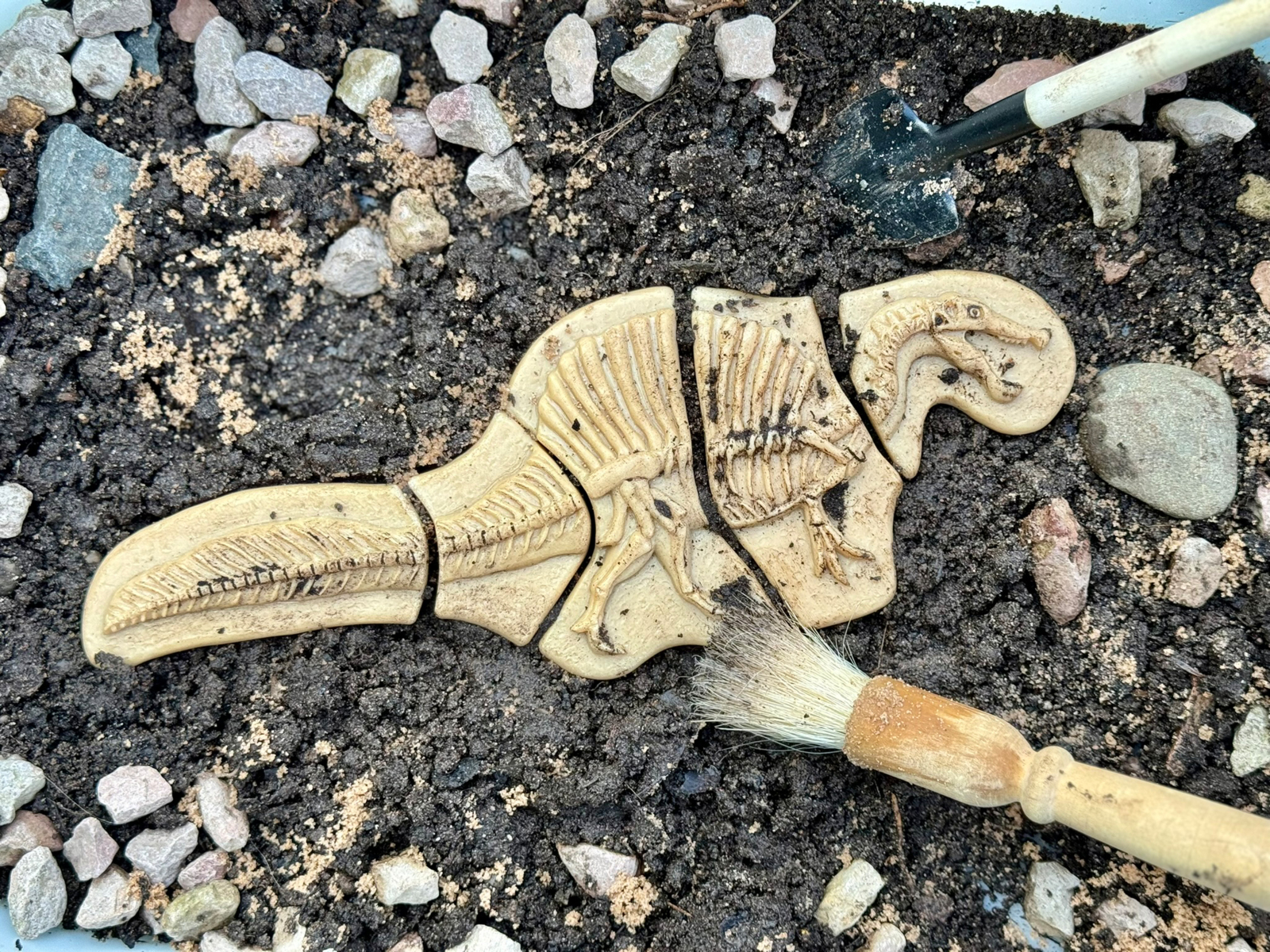 Gräv och upptäck-Triceratops och Stegoaurus - Bild 2