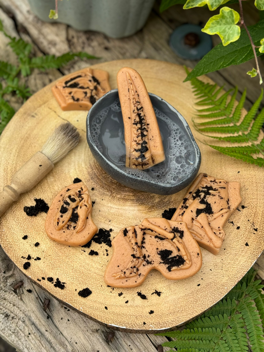 Gräv och upptäck-Tyrannosaurus Rex och Ankylosarus - Bild 5