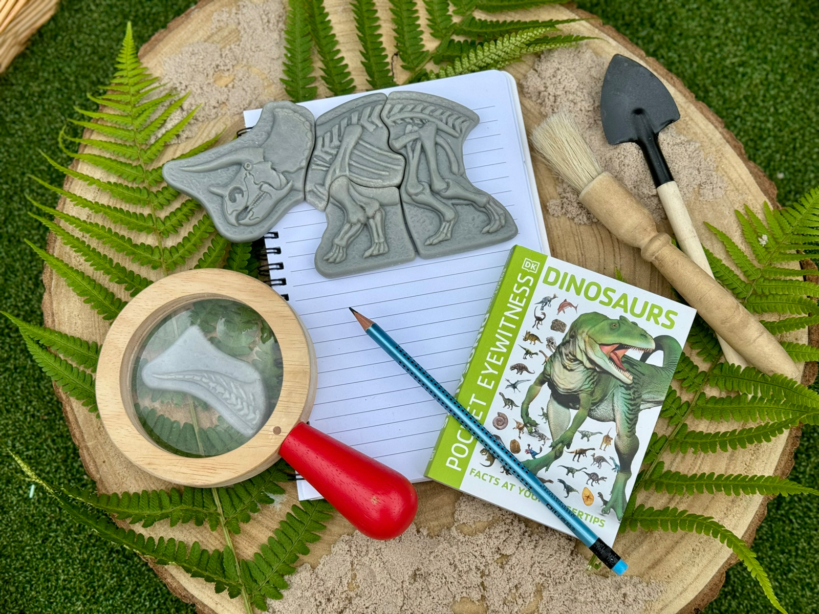 Gräv och upptäck-Triceratops och Stegoaurus - Bild 3