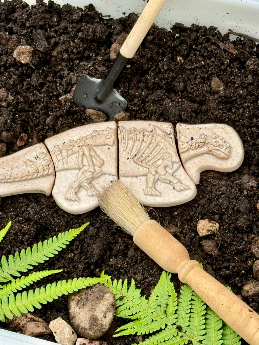 Gräv och upptäck-Tyrannosaurus Rex och Ankylosarus - Bild 2