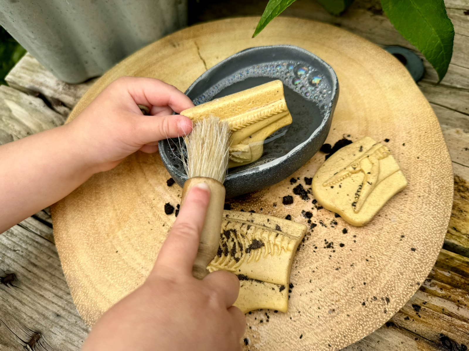 Gräv och upptäck-Pliosaur och Stegosaurus - Bild 3