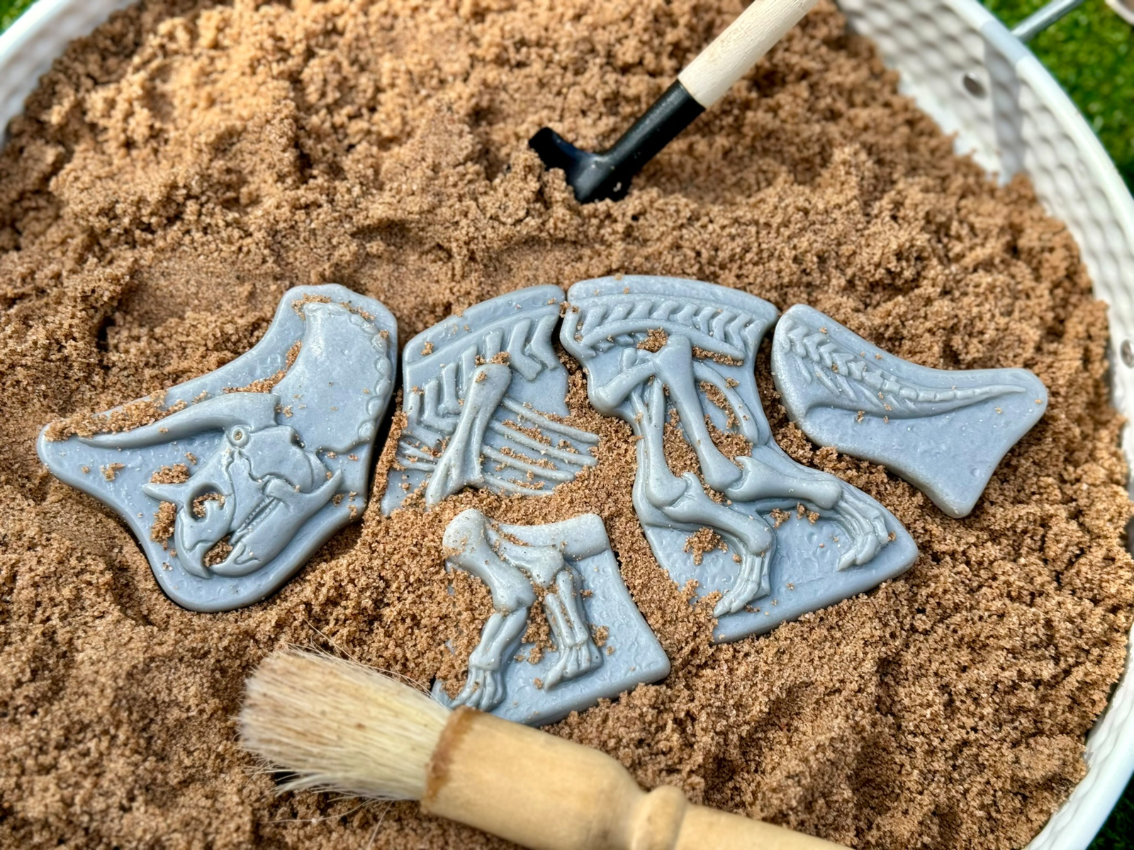 Gräv och upptäck-Triceratops och Stegoaurus